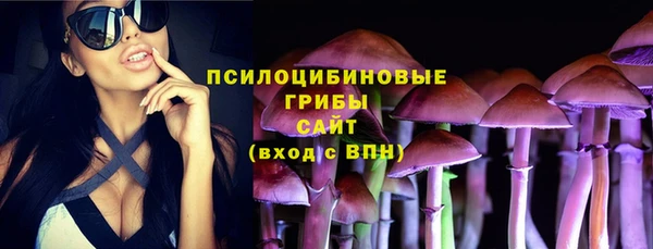 ГАЛЛЮЦИНОГЕННЫЕ ГРИБЫ Бугульма