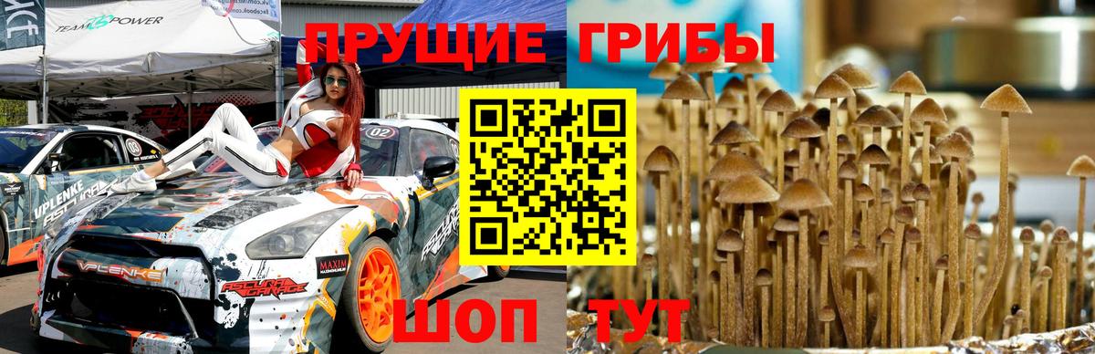 Псилоцибиновые грибы ЛСД  Вход с VPN  Галлюциногенные грибы MAGIC MUSHROOMS  Наро-Фоминск 
